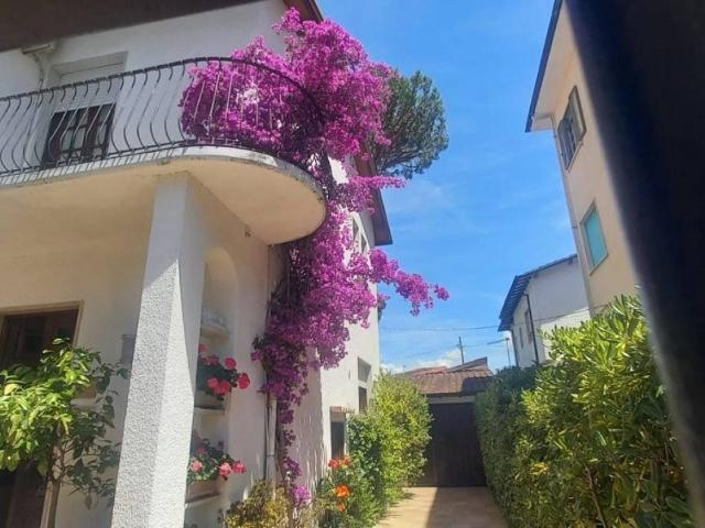 Casa indipendente in vendita a Camaiore LU