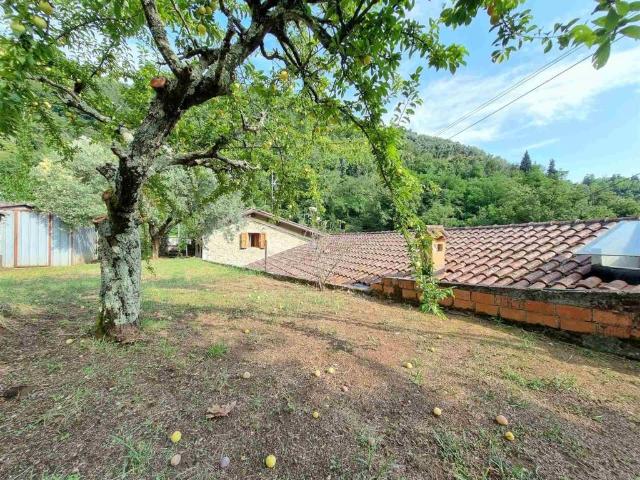Casa indipendente in vendita a Camaiore LU