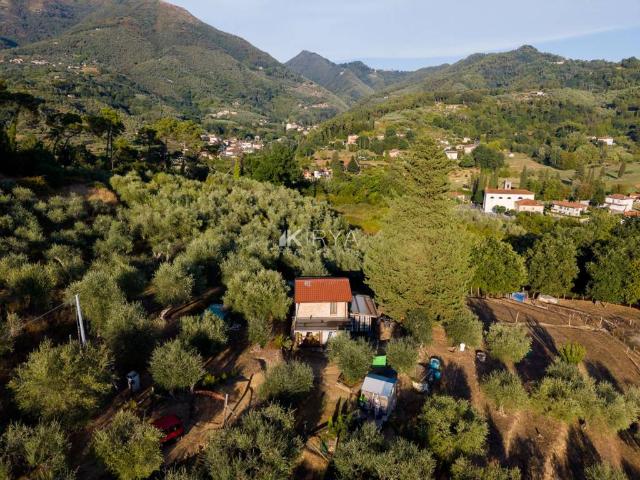 Casa indipendente in vendita a Camaiore LU