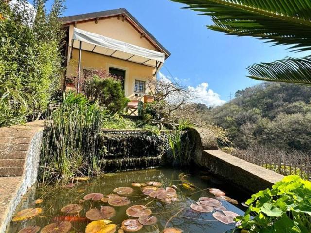 Casa indipendente in vendita a Camaiore LU