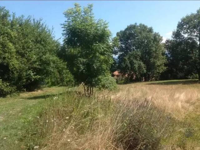 Casa indipendente in vendita a Cambiasca VB
