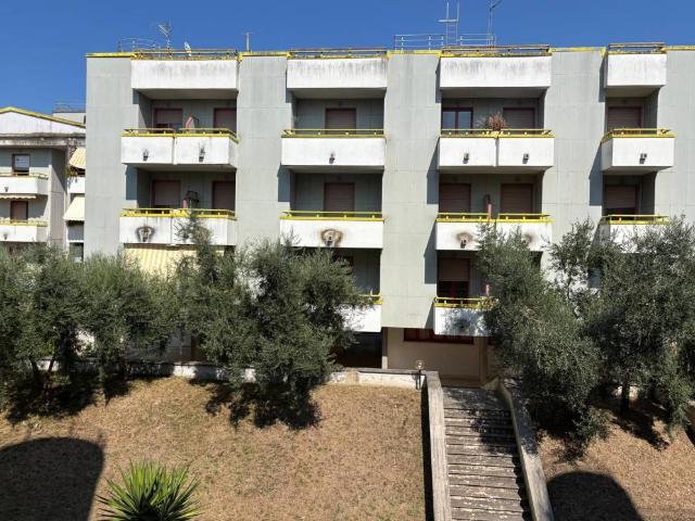 Casa indipendente in vendita a Canino VT