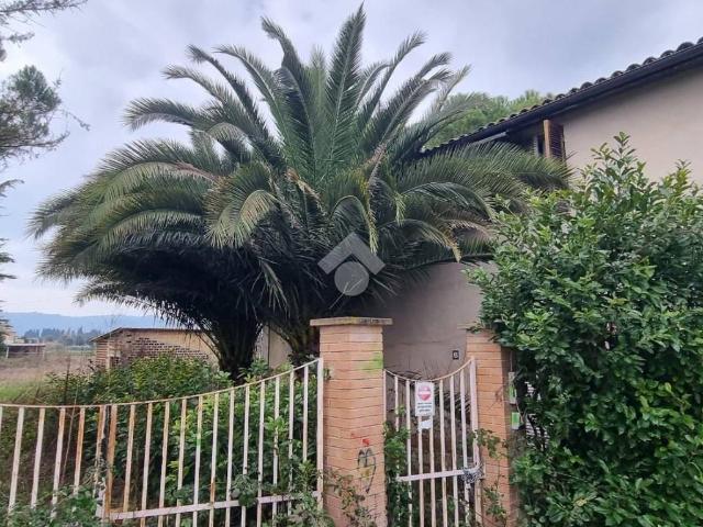 Casa indipendente in vendita a Cannara PG