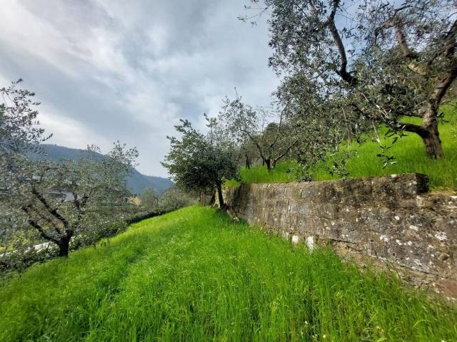 Casa indipendente in vendita a Cantagallo PO