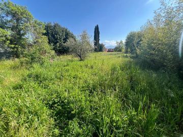 Casa indipendente in vendita a Capannori LU