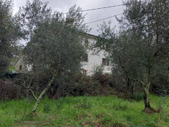 Casa indipendente in vendita a Capannori LU