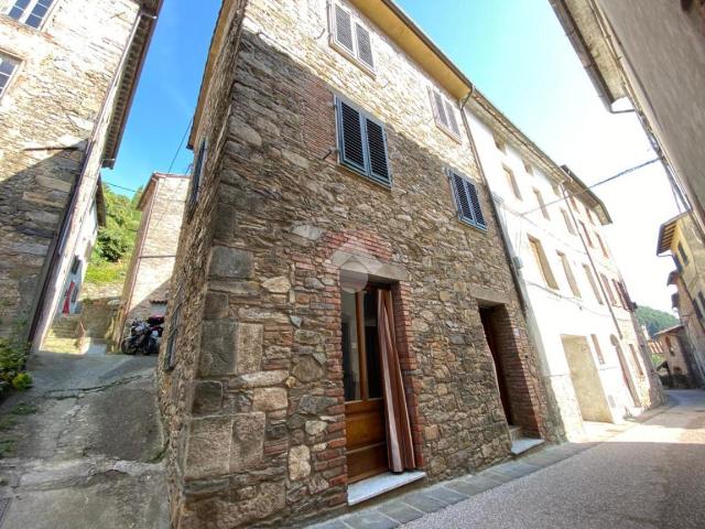 Casa indipendente in vendita a Capannori