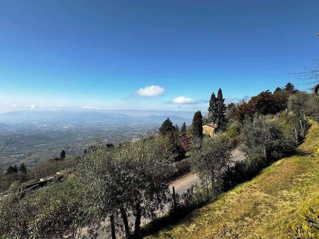 Casa indipendente in vendita a Capannori