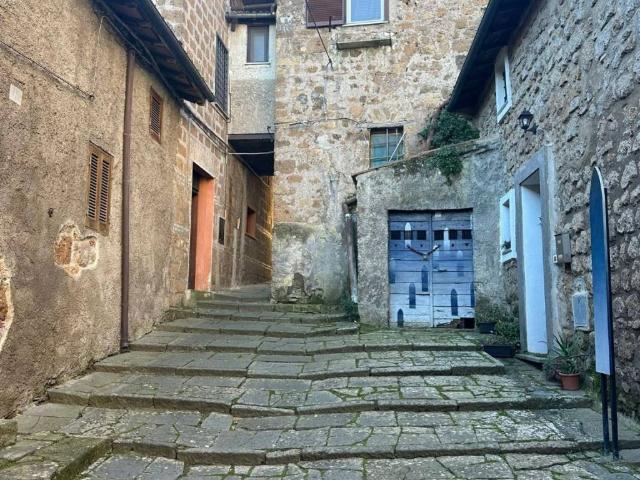 Casa indipendente in vendita a Capranica VT