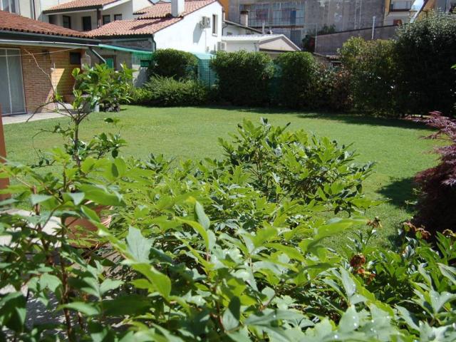 Casa indipendente in vendita a Carmignano di Brenta PD
