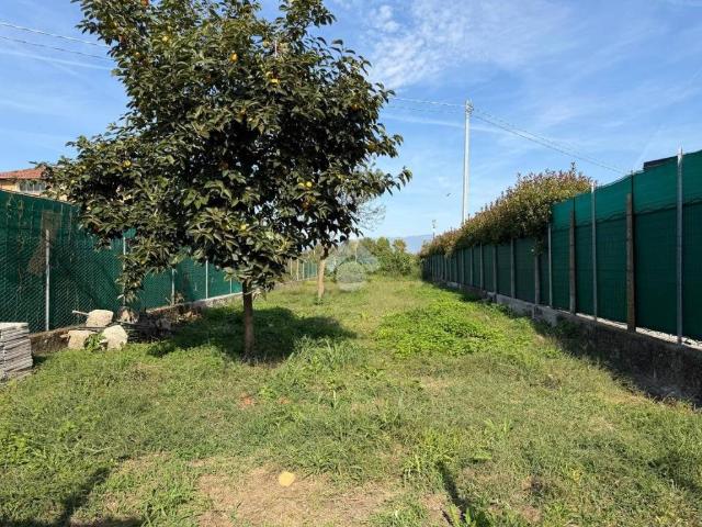 Casa indipendente in vendita a Carmignano di Brenta PD