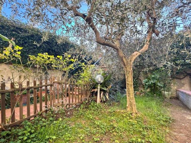 Casa indipendente in vendita a Carmignano PO