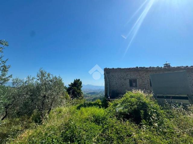 Casa indipendente in vendita a Carmignano PO