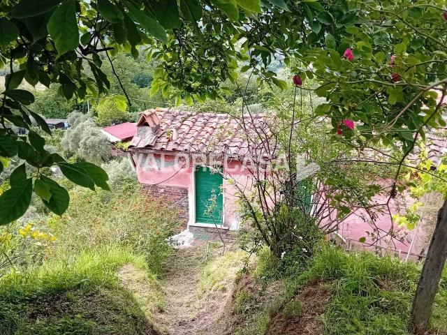 Casa indipendente in vendita a Carrara