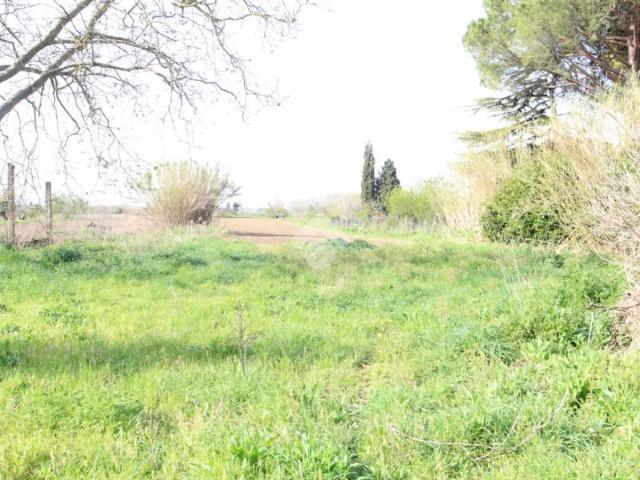 Casa indipendente in vendita a Cascina