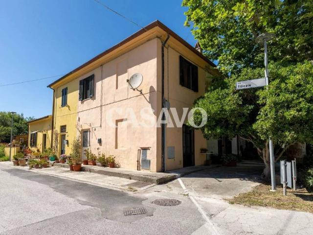Casa indipendente in vendita a Cascina PI