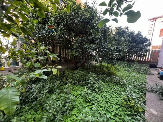 Casa indipendente in vendita a Casalbordino