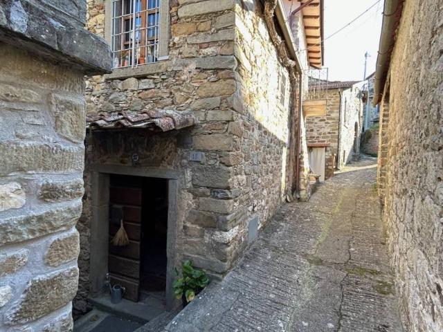 Casa indipendente in vendita a Casola in Lunigiana MS