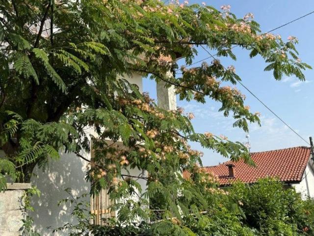 Casa indipendente in vendita a Castagnole delle Lanze AT