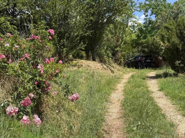 Casa indipendente in vendita a Castel San Niccolò AR