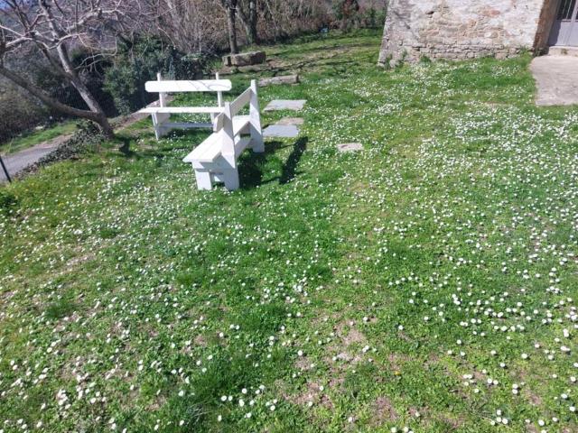 Casa indipendente in vendita a Castelfranco Piandisco AR
