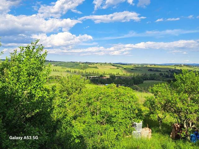 Casa indipendente in vendita a Castelnuovo Berardenga SI