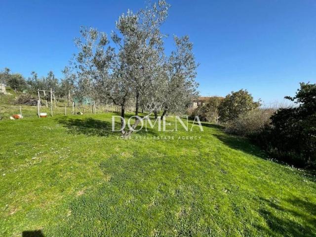 Casa indipendente in vendita a Castelnuovo Berardenga SI