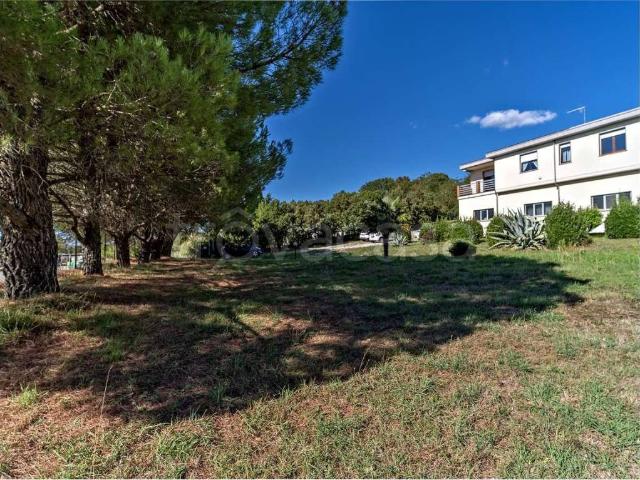 Casa indipendente in vendita a Castelnuovo di Val di Cecina