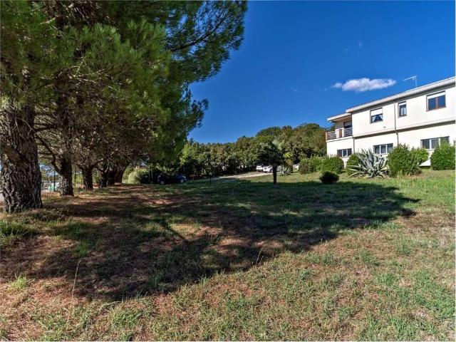 Casa indipendente in vendita a Castelnuovo di Val di Cecina PI