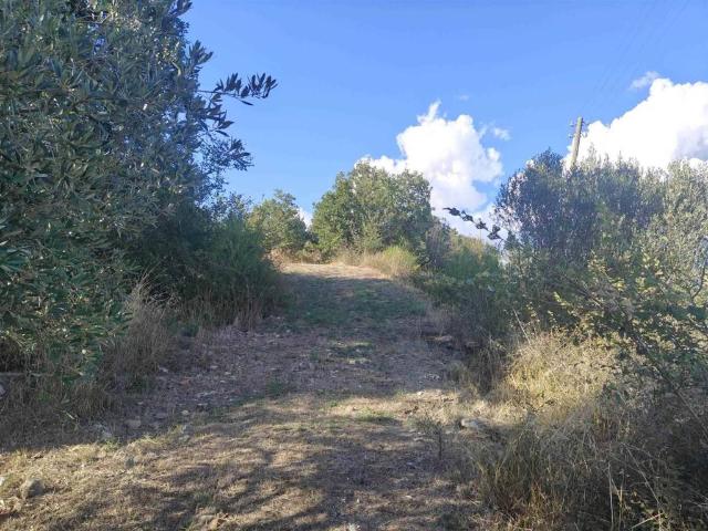Casa indipendente in vendita a Castiglione d'Orcia SI