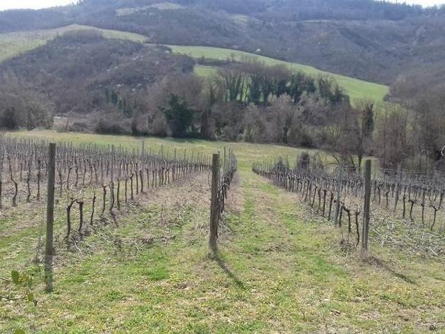 Casa indipendente in vendita a Castiglione in Teverina VT