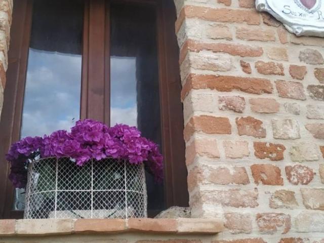 Casa indipendente in vendita a Castignano AP