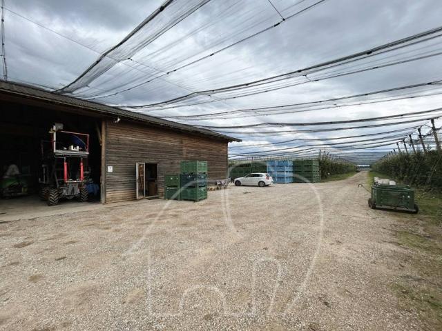 Casa indipendente in vendita a Castions di Strada UD