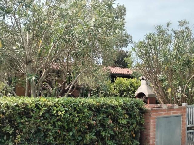 Casa indipendente in vendita a Cecina LI