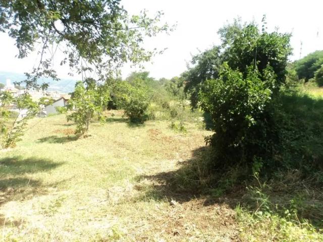 Casa indipendente in vendita a Chiaravalle Centrale CZ