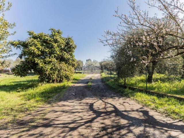 Casa indipendente in vendita a Civita Castellana VT