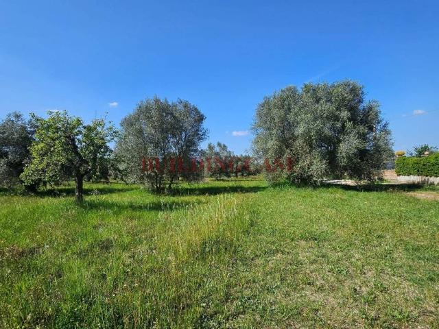 Casa indipendente in vendita a Civita Castellana VT