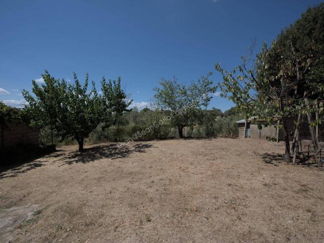 Casa indipendente in vendita a Cinigiano GR
