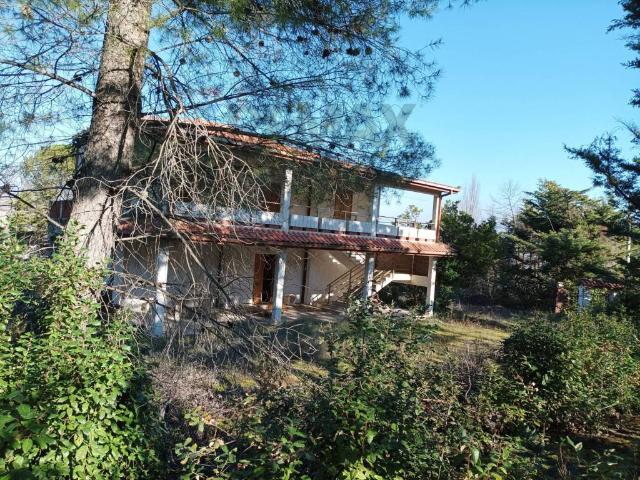 Casa indipendente in vendita a Cugnoli PE