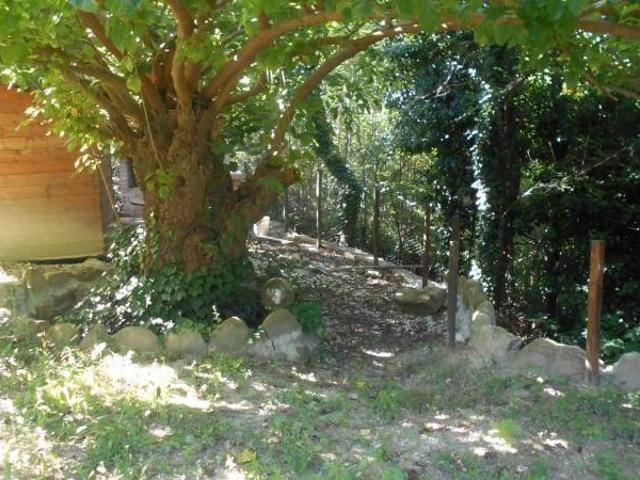 Casa indipendente in vendita a Cupramontana AN