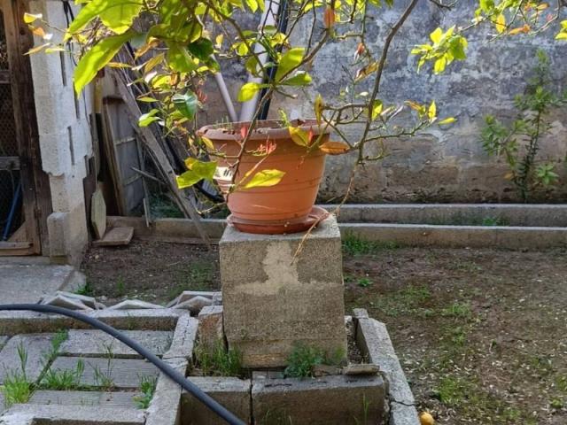 Casa indipendente in vendita a Cursi LE