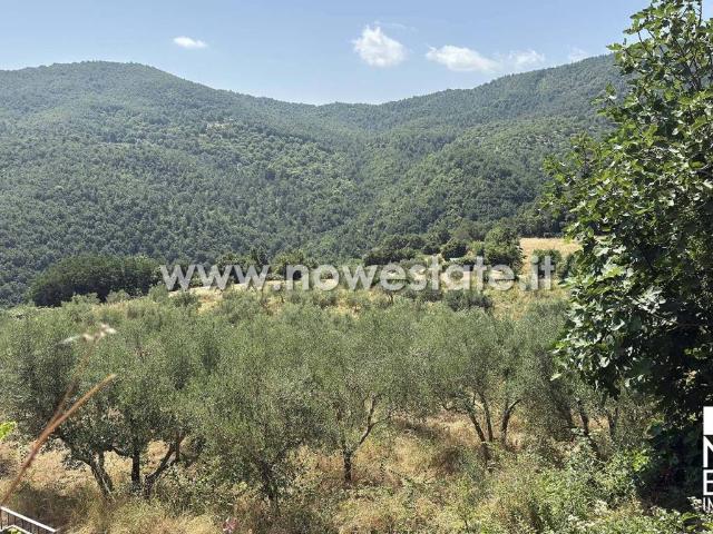 Casa indipendente in vendita a Anghiari AR