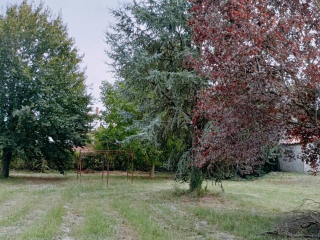 Casa indipendente in vendita a Anguillara Veneta PD