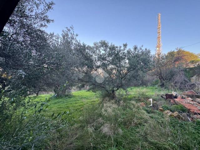 Casa indipendente in vendita a Agrigento AG