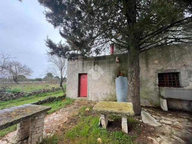Casa indipendente in vendita a Altamura BA