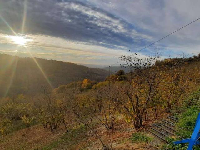 Casa indipendente in vendita a Albaretto della Torre CN