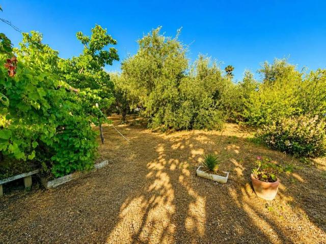 Casa indipendente in vendita a Albenga SV