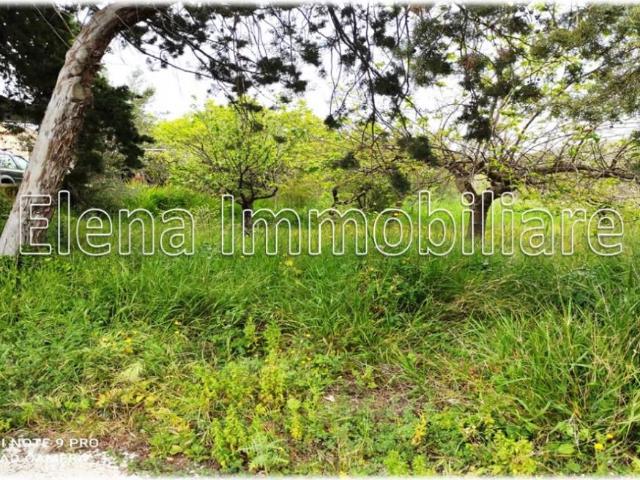 Casa indipendente in vendita a Alcamo