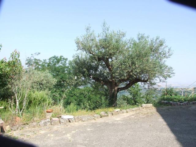 Casa indipendente in vendita a Apice BN