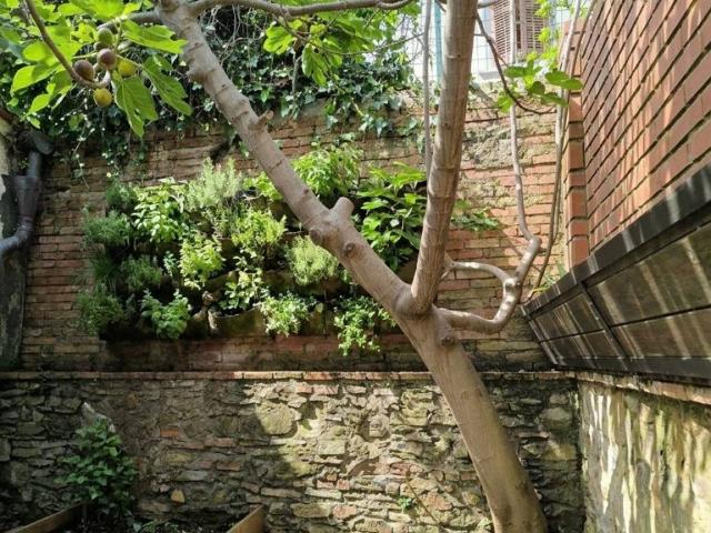 Casa indipendente in vendita a Arezzo AR